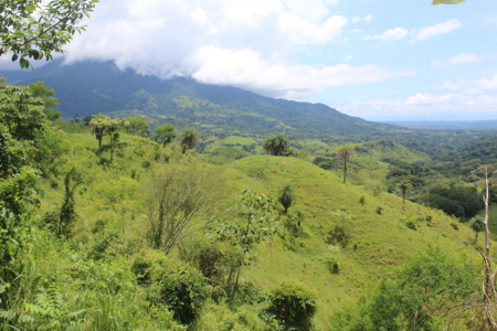 Large farm for sale in Costa Rica by broker Michael Krieg - image 6
