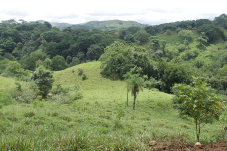 Large farm for sale in Costa Rica by broker Michael Krieg - image 13