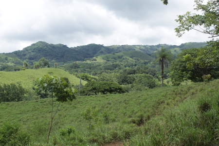 Large farm for sale in Costa Rica by broker Michael Krieg - image 14