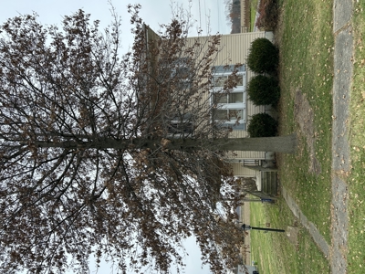 Single Family Home Online Auction | Chatfield, OH - image 2