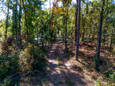 10 Acres in O'Brien Fl! Close to Rivers & Famous N Fl. Springs! - image 5