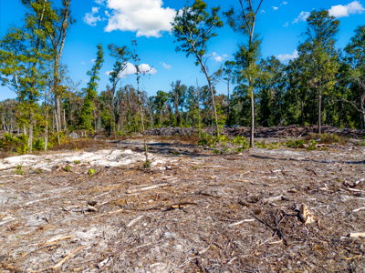 10 Acres in O'Brien Fl! Close to Rivers & Famous N Fl. Springs! - image 14