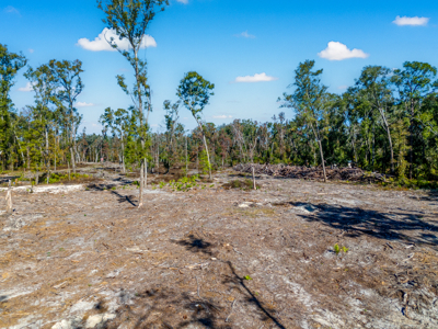 10 Acres in O'Brien Fl! Close to Rivers & Famous N Fl. Springs! - image 15