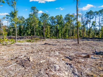 10 Acres in O'Brien Fl! Close to Rivers & Famous N Fl. Springs! - image 13