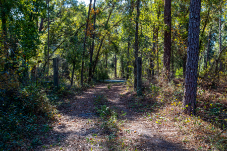 10 Acres in O'Brien Fl! Close to Rivers & Famous N Fl. Springs! - image 3