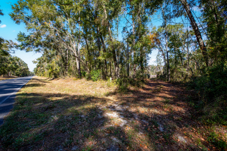 10 Acres in O'Brien Fl! Close to Rivers & Famous N Fl. Springs! - image 7