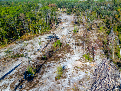 10 Acres in O'Brien Fl! Close to Rivers & Famous N Fl. Springs! - image 10