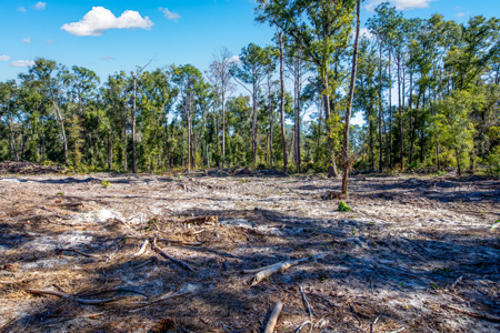 10 Acres in O'Brien Fl! Close to Rivers & Famous N Fl. Springs! - image 4