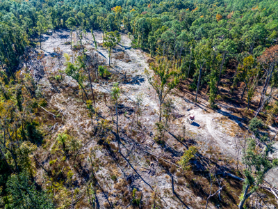 10 Acres in O'Brien Fl! Close to Rivers & Famous N Fl. Springs! - image 11