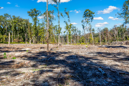 10 Acres in O'Brien Fl! Close to Rivers & Famous N Fl. Springs! - image 1