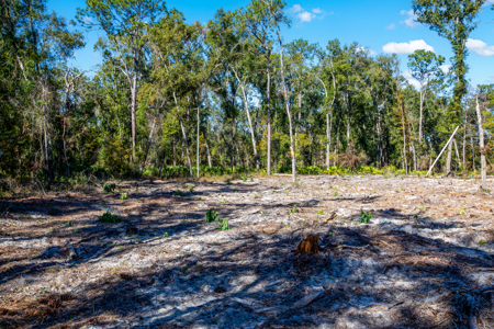 10 Acres in O'Brien Fl! Close to Rivers & Famous N Fl. Springs! - image 6