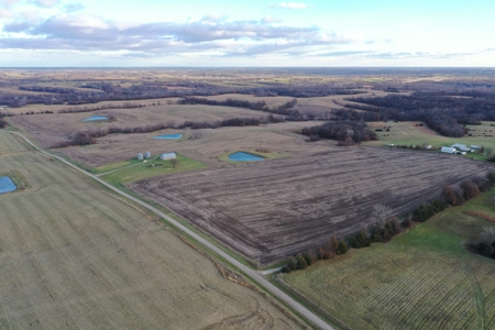 Row Crop Farm For Sale in Mercer County - image 16