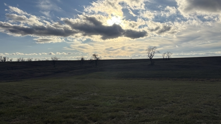 Row Crop Farm For Sale in Mercer County - image 17