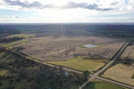 Row Crop Farm For Sale in Mercer County - image 3