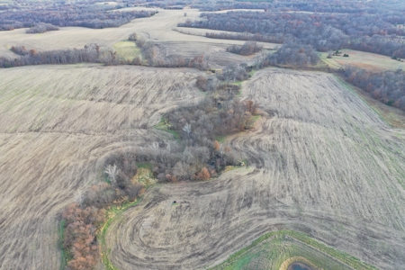 Mercer County Tillable Farm For Sale - image 13