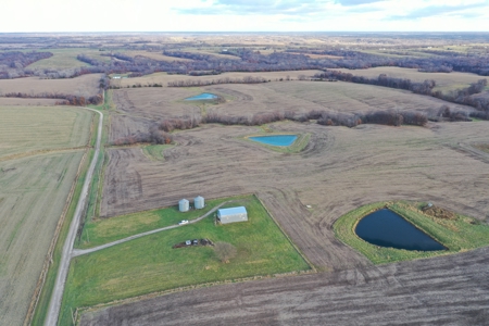 Mercer County Tillable Farm For Sale - image 5