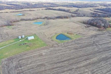 Mercer County Tillable Farm For Sale - image 4