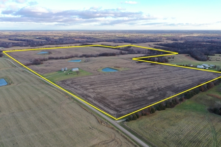 Mercer County Tillable Farm For Sale - image 1