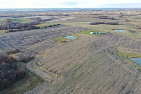 Mercer County Tillable Farm For Sale - image 19