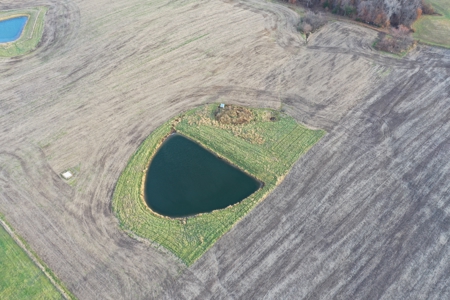 Mercer County Tillable Farm For Sale - image 6