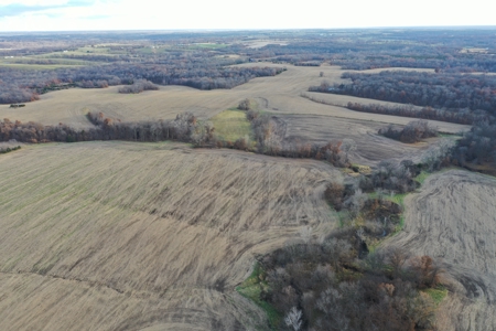Mercer County Tillable Farm For Sale - image 14