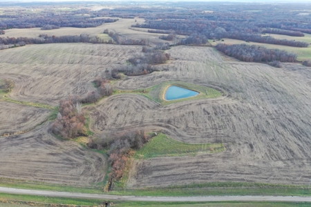 Mercer County Tillable Farm For Sale - image 9