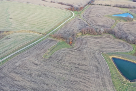 Mercer County Tillable Farm For Sale - image 8