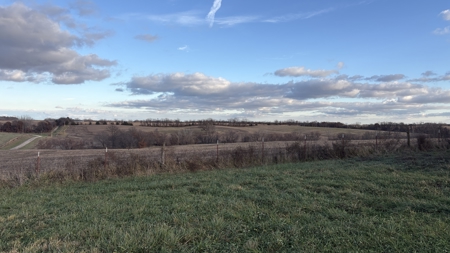 Mercer County Tillable Farm For Sale - image 39