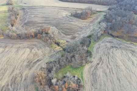 Mercer County Tillable Farm For Sale - image 16