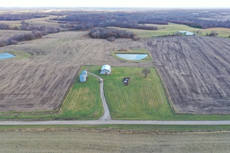 Mercer County Tillable Farm For Sale - image 3