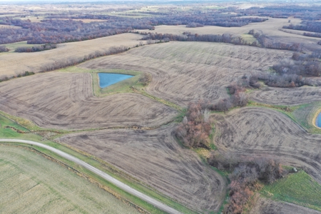 Mercer County Tillable Farm For Sale - image 10