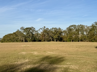 34acres of Land Holmes County FL - Bonifay North Florida pasture - image 3