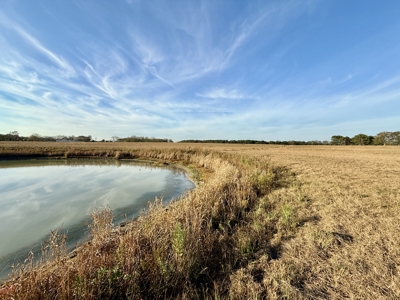 34acres of Land Holmes County FL - Bonifay North Florida pasture - image 11