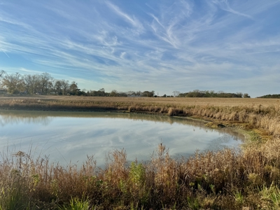 34acres of Land Holmes County FL - Bonifay North Florida pasture - image 10