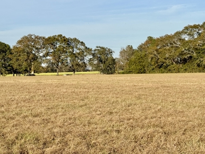 34acres of Land Holmes County FL - Bonifay North Florida pasture - image 14