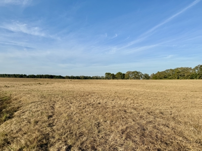 34acres of Land Holmes County FL - Bonifay North Florida pasture - image 12