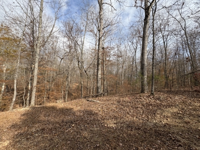 Country Home for Sale in Wayne County, Tennessee - image 39