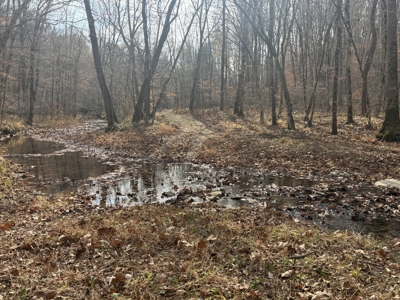 Country Home for Sale in Wayne County, Tennessee - image 26