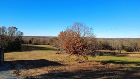 Country Home for Sale in Wayne County, Tennessee - image 49