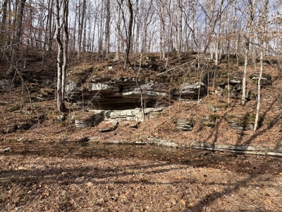 Country Home for Sale in Wayne County, Tennessee - image 36