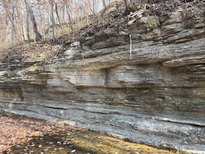 Country Home for Sale in Wayne County, Tennessee - image 31