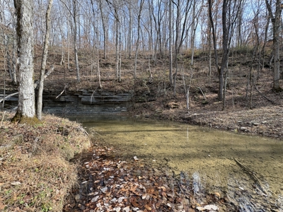 Country Home for Sale in Wayne County, Tennessee - image 33