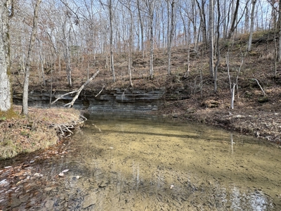 Country Home for Sale in Wayne County, Tennessee - image 34