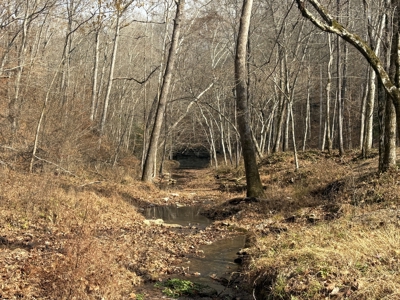 Country Home for Sale in Wayne County, Tennessee - image 37