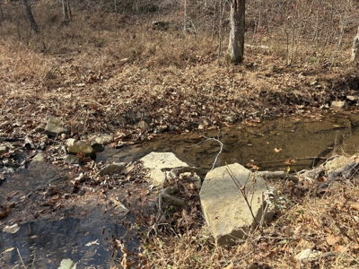 Country Home for Sale in Wayne County, Tennessee - image 27