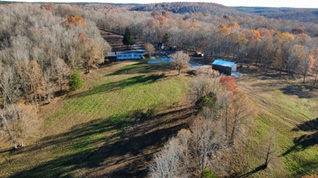 Country Home for Sale in Wayne County, Tennessee - image 42