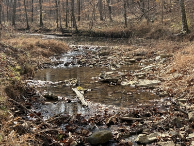 Country Home for Sale in Wayne County, Tennessee - image 35