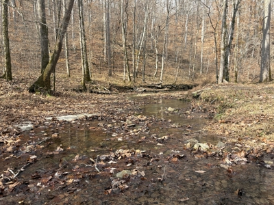 Country Home for Sale in Wayne County, Tennessee - image 25