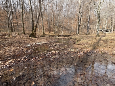 Country Home for Sale in Wayne County, Tennessee - image 24