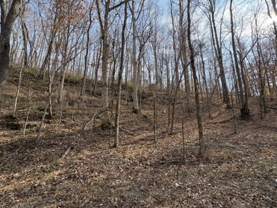 Country Home for Sale in Wayne County, Tennessee - image 38